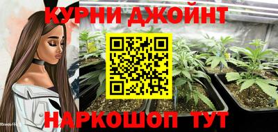 spice Шелехов